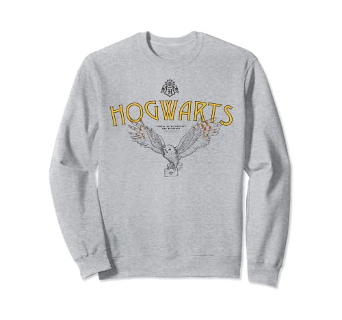 Harry Potter Hogwarts Owl Sudadera